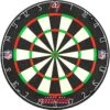 NFL - Professional Dartboard - Official Licensed - Tampa Bay Buccaneers