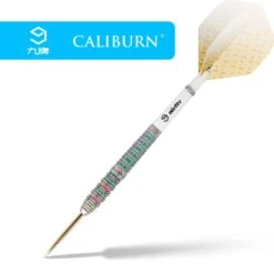 Caliburn Player Darts - Steel Tip - 95% - Rainbow Coating - Raine -Dart Shop caliburn raine darts steel tip d6907 2