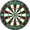 Hibernian FC - Official Licensed - Professional Dartboard - Crest And Wordmark